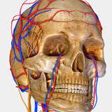 Managing Complications Courses