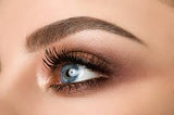 Lash and Brow Artist Ultimate Course